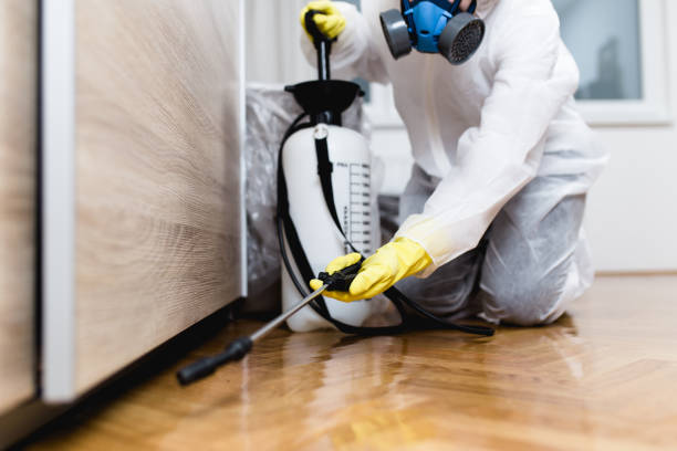 Best Emergency Pest Control  in Lake Shore, WA