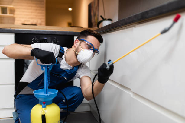 Best Mosquito Control Services  in Lake Shore, WA