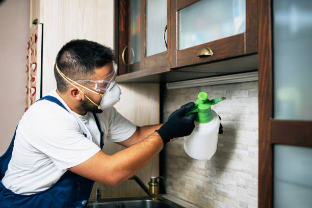 Best Best Pest Control Near Me  in Lake Shore, WA