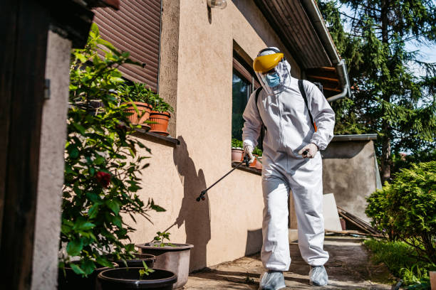 Best Pest Removal Services  in Lake Shore, WA