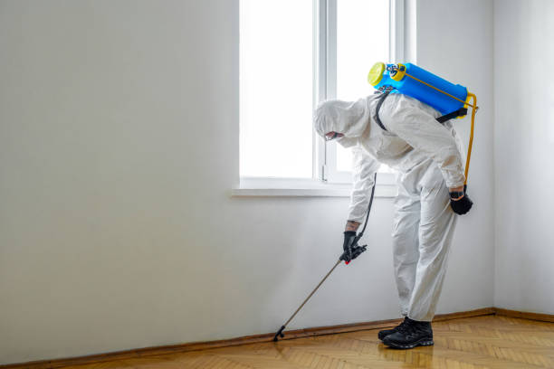 Best Rat Extermination Near Me  in Lake Shore, WA