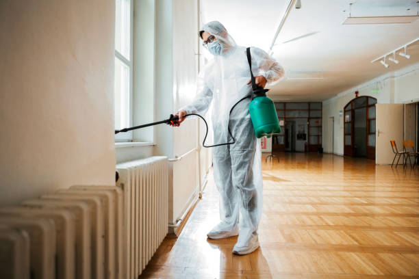 Best Affordable Pest Control Services  in Lake Shore, WA