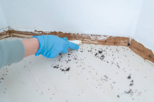 Best Wildlife Control Services  in Lake Shore, WA
